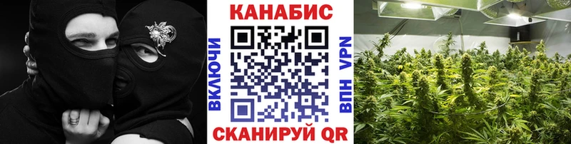 Конопля LSD WEED  наркотики  Черноголовка 